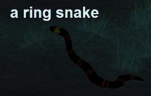 a ring snake